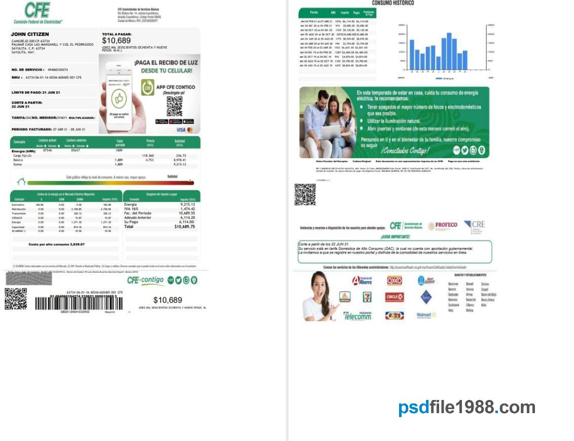 Mexico Federal Electricity Commission CFE Utility Bill 2 Pages